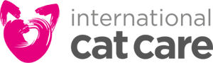 ICC logo